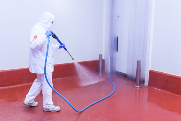 Professional Pressure Washing Services in Leo Cedarville, IN