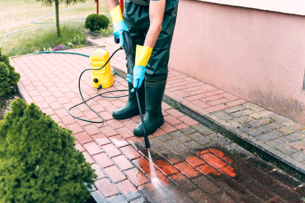 Best Sidewalk and Walkway Cleaning  in Leo Cedarville, IN